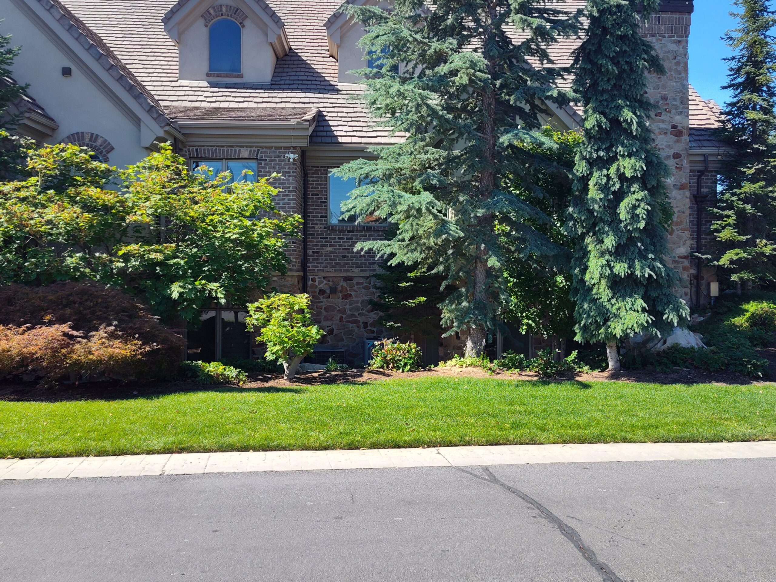 img 20240702 103840174 hdr